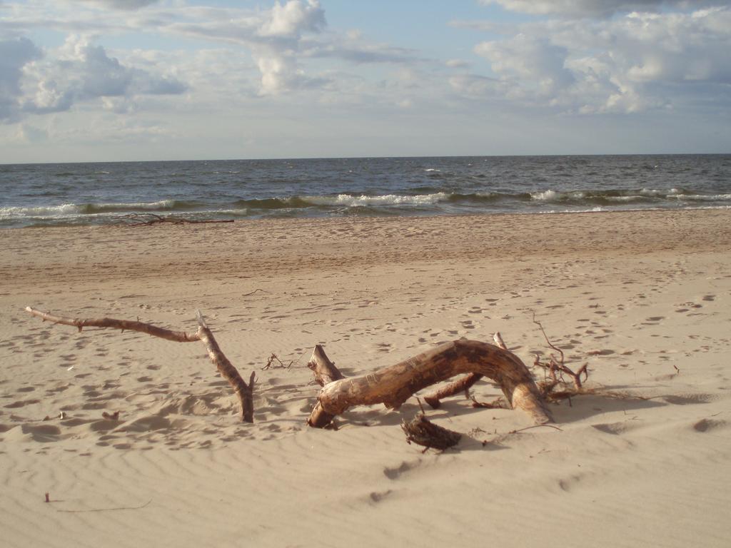 Lubiewo Forest & Sea Resort Międzyzdroje Pokój zdjęcie